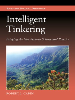 cover image of Intelligent Tinkering